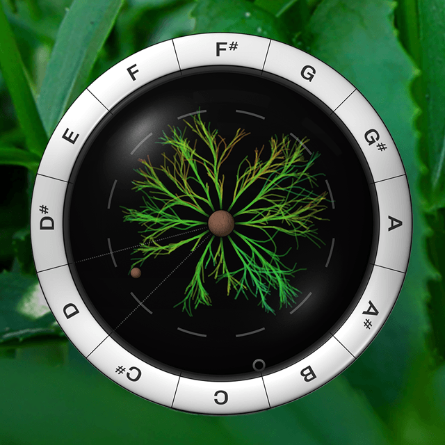 Synplant 2